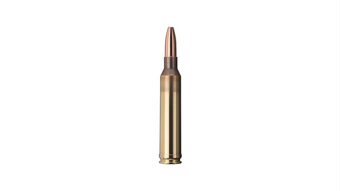 Geco Plus cal. 7 mm Rem. Mag., 11 g