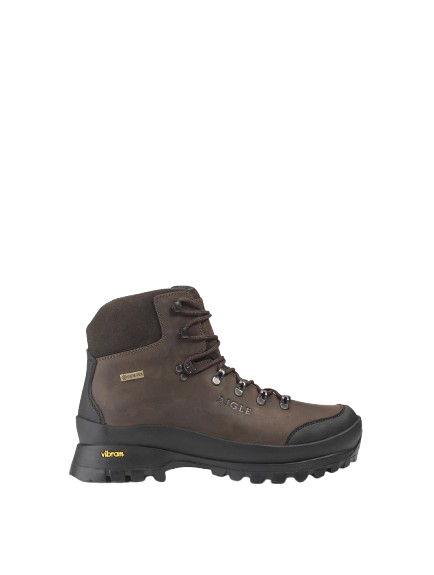 Aigle Muntagna GTX gojzerice